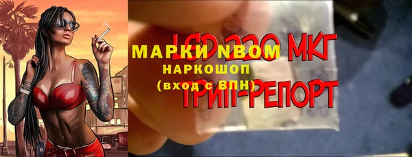 твердый Няндома