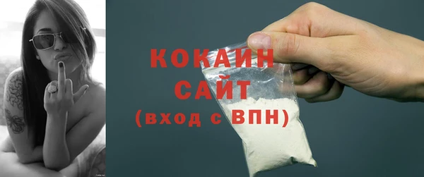 твердый Няндома