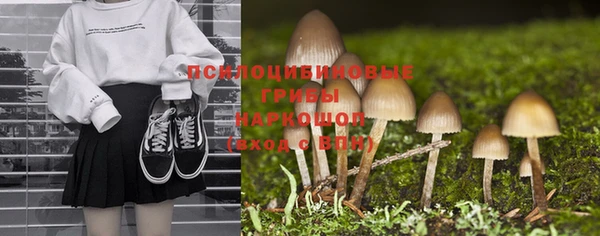 гашик Балабаново