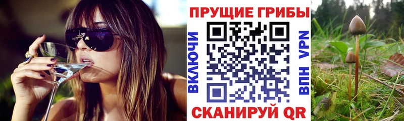 Галлюциногенные грибы прущие грибы Тобольск